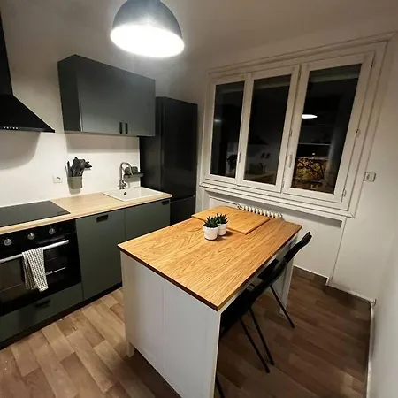 Daire 4 Personnes - Ambiance Cosy - Proche Universites Grenoble